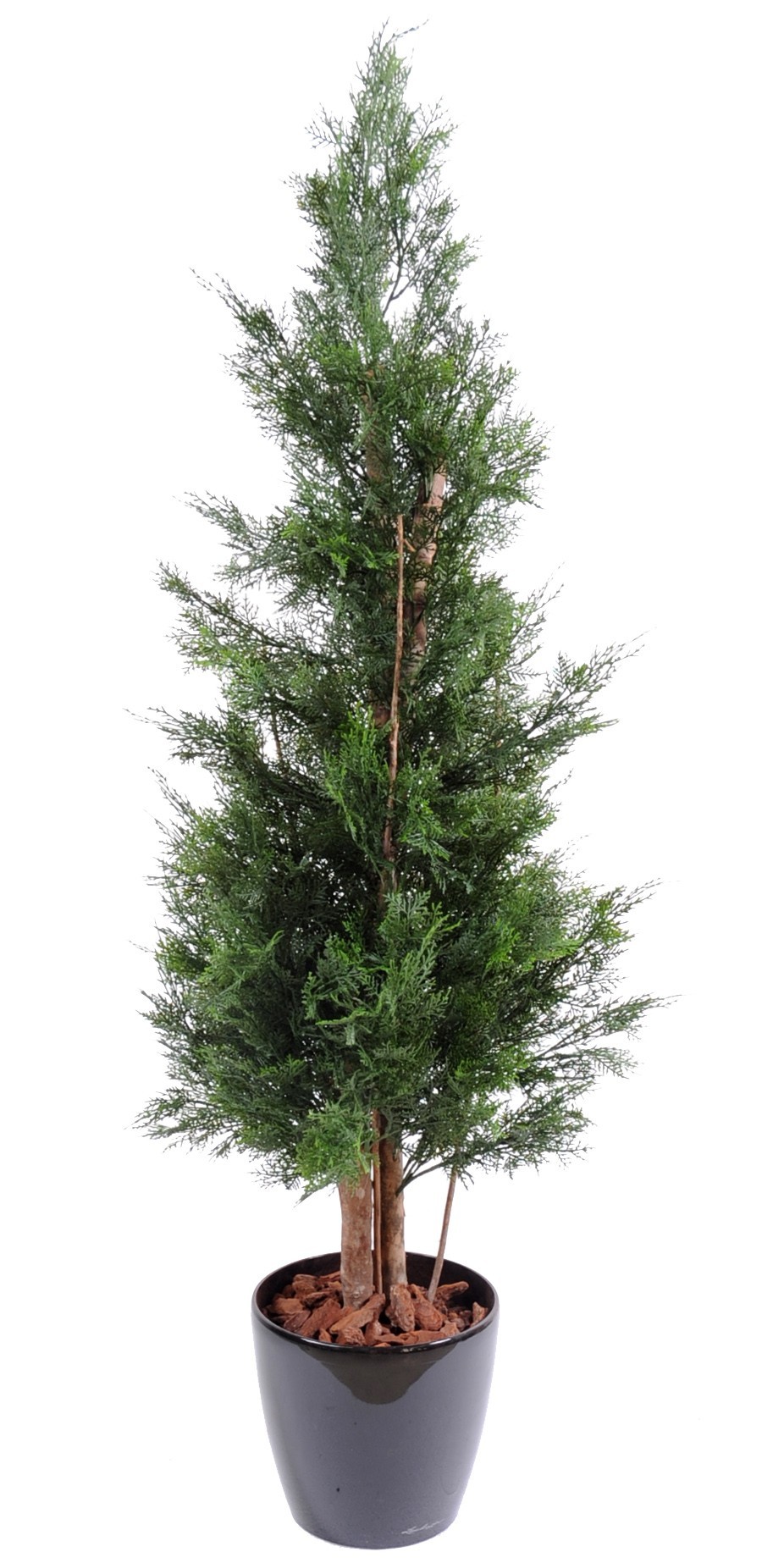 Künstlicher Lawson-Zypressenbaum, ca 150cm - UV-Beständig, grün 1 Künstlicher Lawson-Zypressenbaum, ca 150cm - UV-Beständig, grün