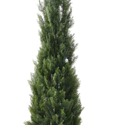 Künstlicher Zypressenbaum, ca. 210cm hoch, grün