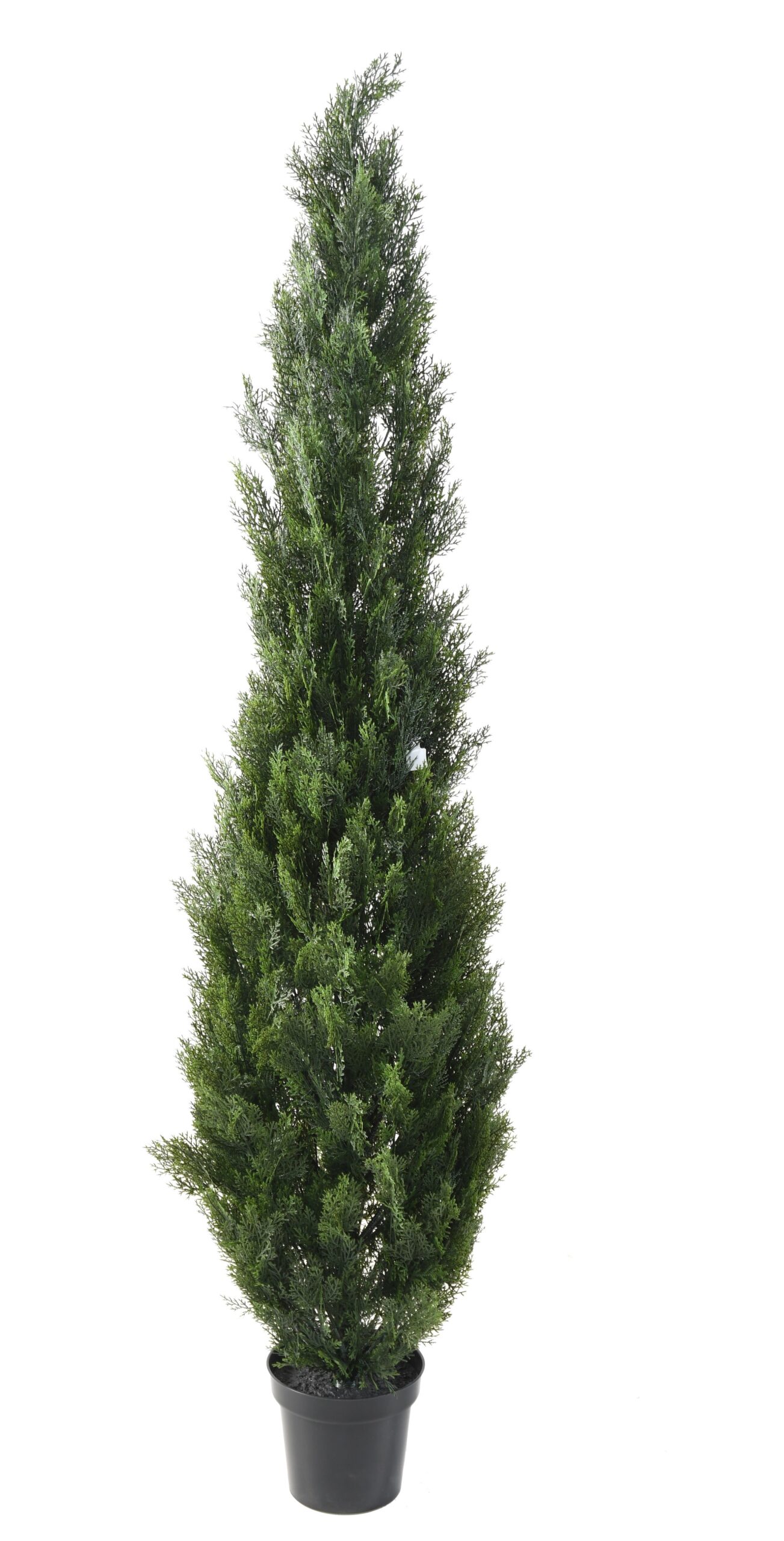Künstlicher Zypressenbaum, ca. 210cm hoch, grün 1 Künstlicher Zypressenbaum, ca. 210cm hoch, grün