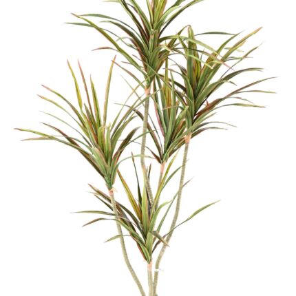 Künstliche Dracaena, ca. 190cm hoch, grün