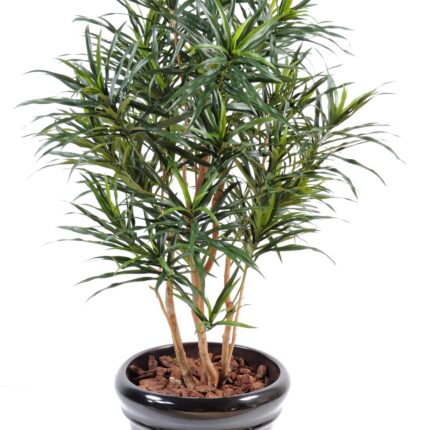 Künstliche Dracaena Anita, ca. 155cm hoch, grün