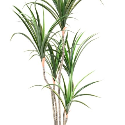 Künstliche Dracaena Marginata, ca. 125cm hoch, grün