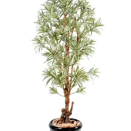 Künstliche Dracaena Reflexa, ca. 150cm hoch, grün