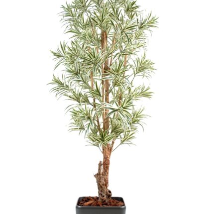 Künstliche Dracaena Reflexa, ca. 180cm hoch, grün-gelb