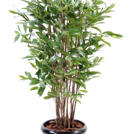 Künstliche Dracaena Surculosa, ca. 150cm hoch, grün