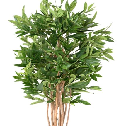 Künstliche Dracaena Surculosa, ca. 155cm hoch, grün