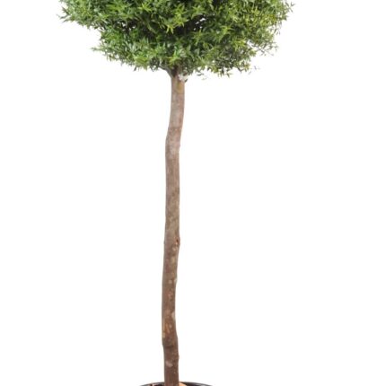 Künstlicher Eukalyptusbaum, ca 110cm, grün