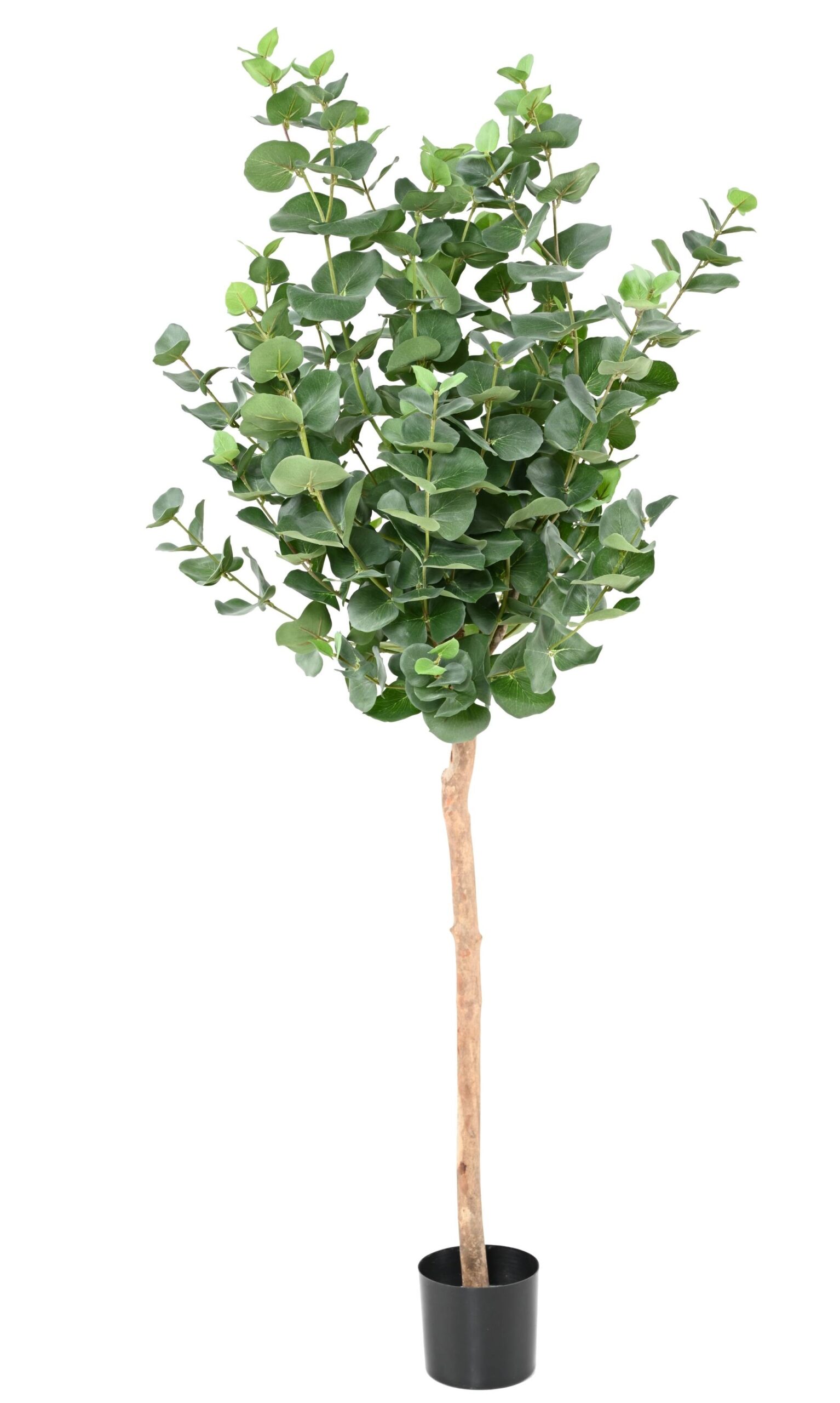 Künstlicher Eukalyptusbaum, ca. 130cm hoch, grün 1 Künstlicher Eukalyptusbaum, ca. 130cm hoch, grün
