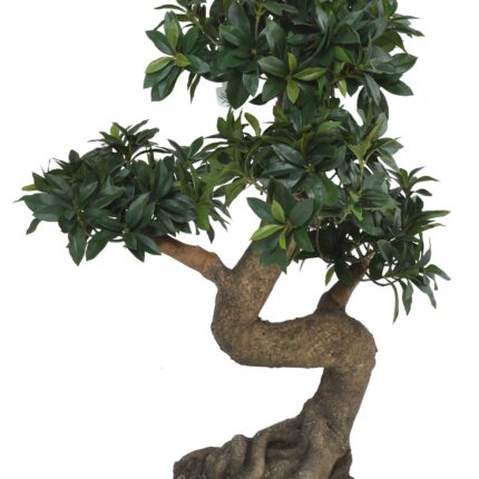 Künstlicher Ficus Bonsai, ca. 75cm hoch, grün