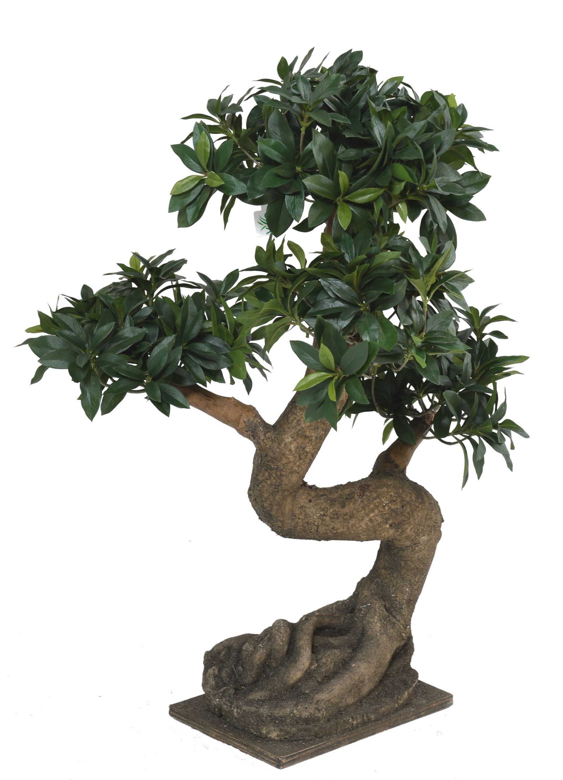 Künstlicher Ficus Bonsai, ca. 75cm hoch, grün 1 Künstlicher Ficus Bonsai, ca. 75cm hoch, grün