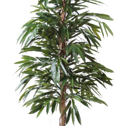 Künstlicher Ficus Alii, ca. 190cm hoch, grün