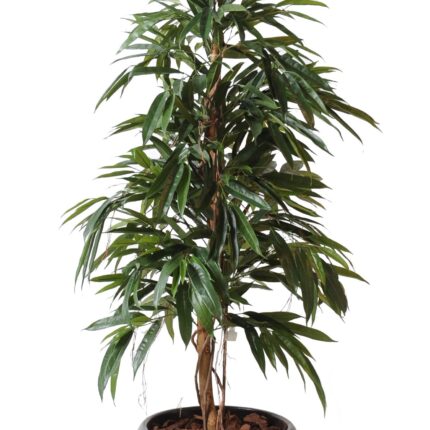 Künstlicher Ficus Alii, ca. 160cm hoch, grün