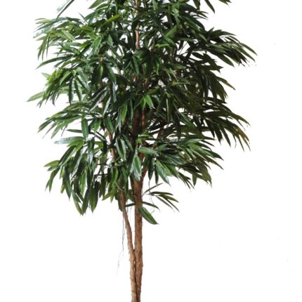 Künstlicher Ficus Alii Royal, ca. 250cm hoch, grün