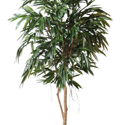 Künstlicher Ficus Alii Royal, ca. 190cm hoch, grün