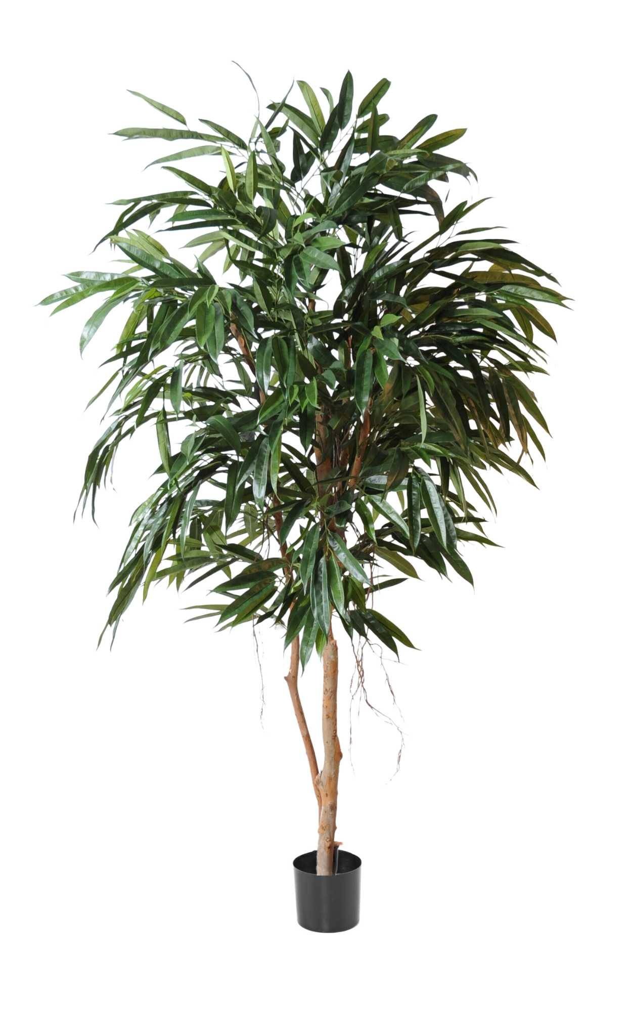 Künstlicher Ficus Alii Royal, ca. 190cm hoch, grün 1 Künstlicher Ficus Alii Royal, ca. 190cm hoch, grün