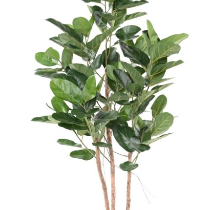 Künstlicher Ficus Audrey, ca. 190cm hoch, grün