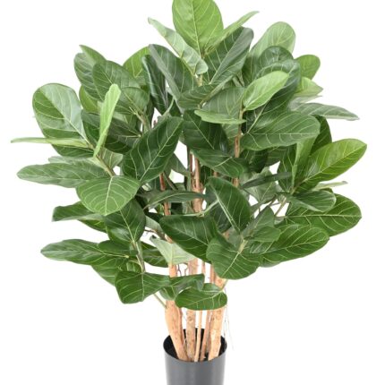 Künstlicher Ficus Audrey, (Gummibaum) ca. 100cm hoch, grün