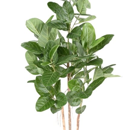 Künstlicher Ficus Audrey, ca. 150cm hoch, grün