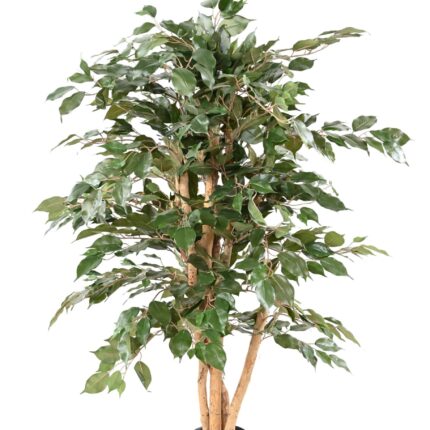Künstlicher Ficus Benjamina, ca. 150cm hoch, grün