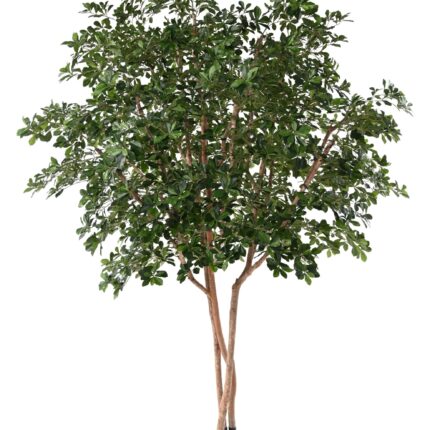 Künstlicher Ficus Black Olive Tree, ca. 310cm hoch, grün