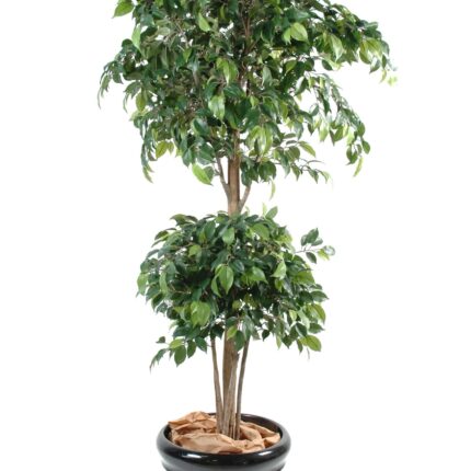 Künstlicher Ficus Double Ball, ca. 150cm hoch, grün
