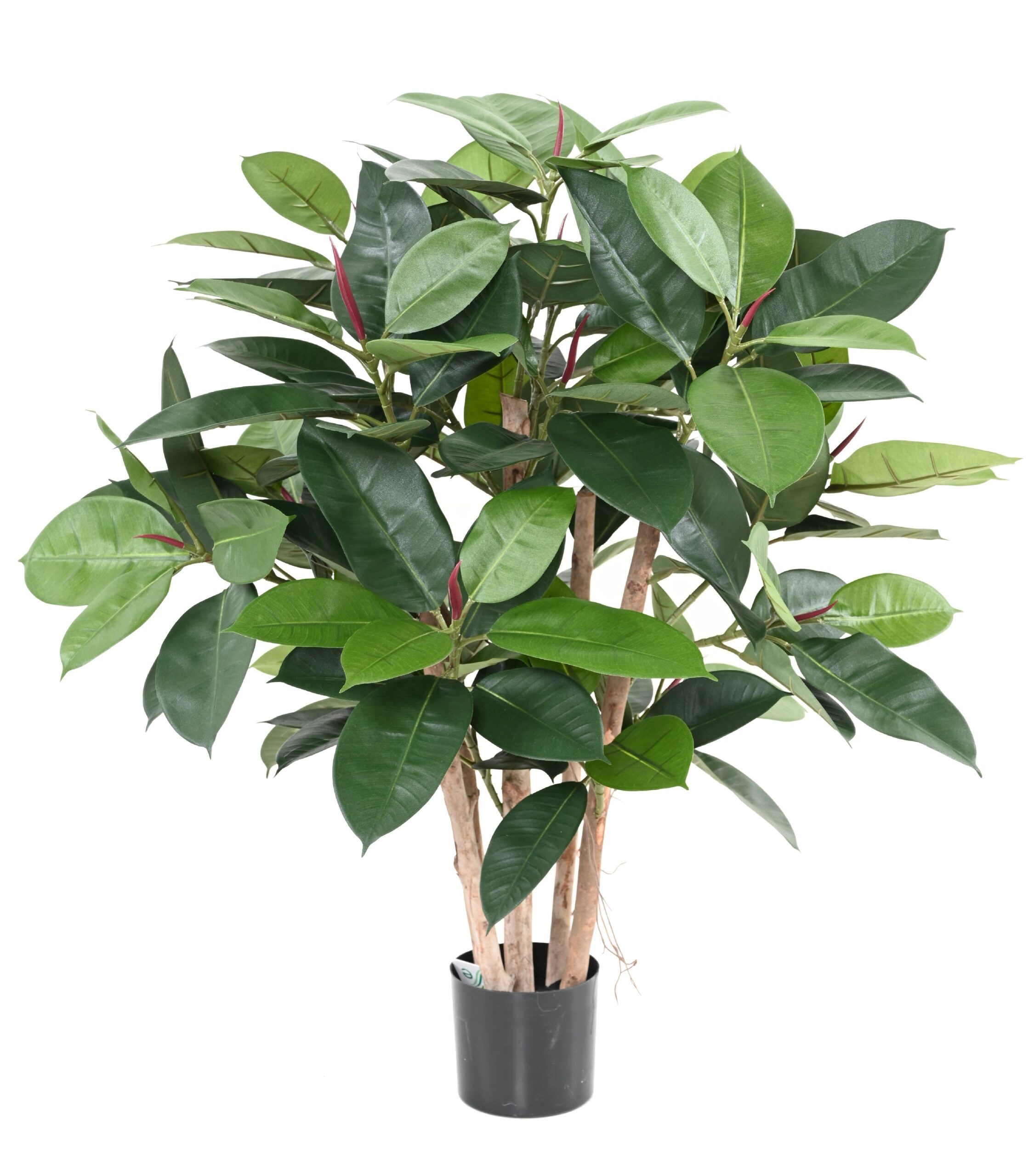 Künstlicher Gummibaum, ca. 90cm hoch, grün 1 Künstlicher Gummibaum, ca. 90cm hoch, grün