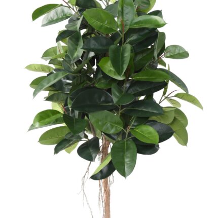 Künstlicher Gummibaum (Ficus Elastica), ca. 180cm
