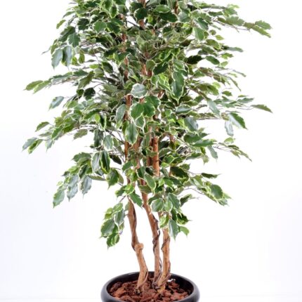 Künstlicher Ficus Exotica, ca. 180cm hoch, mehrfarbig