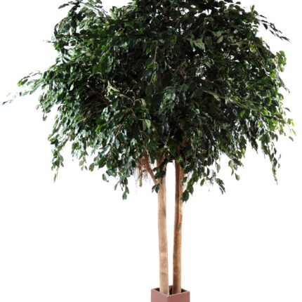 Künstlicher Ficus Exotica, ca. 350cm hoch, grün