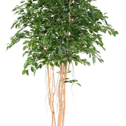 Künstlicher Ficus Exotica, ca. 260cm hoch, grün