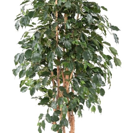 Künstlicher Ficus Exotica, ca. 180cm hoch, grün
