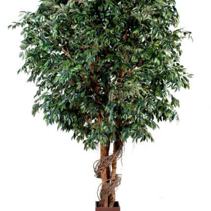 Künstlicher Giant Ficus, ca. 650cm hoch, grün