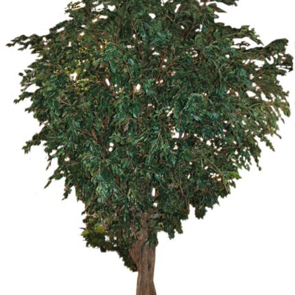 Künstlicher Premium Ficus Giant, ca. 650cm