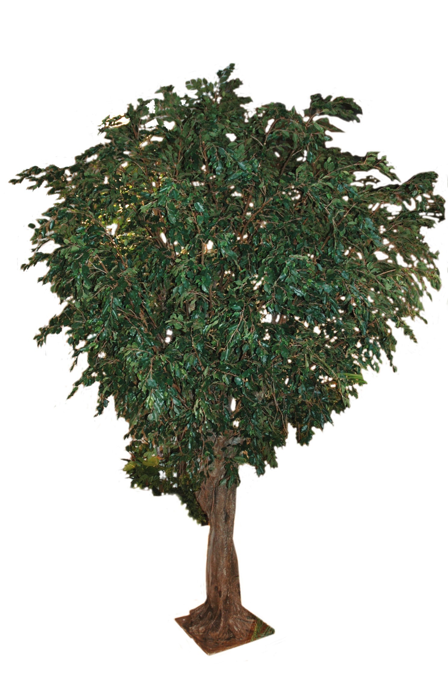 Künstlicher Premium Ficus Giant, ca. 650cm 1 Künstlicher Premium Ficus Giant, ca. 650cm