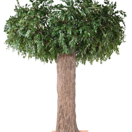 Künstlicher Ficus mit großem Stamm, ca. 370cm hoch, grün
