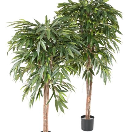 Künstlicher Ficus Longifolia, ca. 180cm hoch, grün