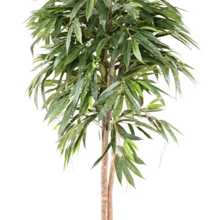 Künstlicher Ficus Longifolia, ca. 160cm hoch, grün