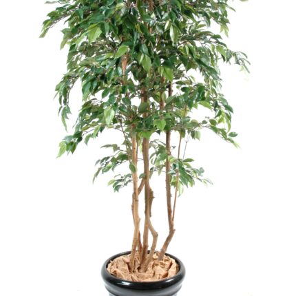 Künstlicher Ficus Natasja Multitree, ca. 110cm hoch, grün