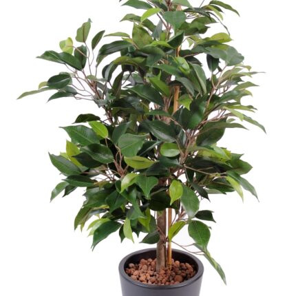 Künstlicher Ficus Natasja, ca. 60cm hoch, grün