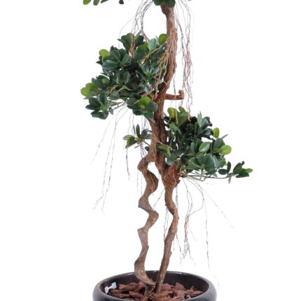 Künstlicher Ficus Panda, ca. 140cm hoch, grün