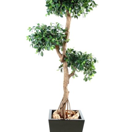 Künstlicher Ficus Retusa, ca. 150cm hoch, grün
