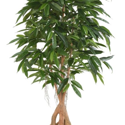 Künstlicher Ficus Longifolia, ca. 180cm