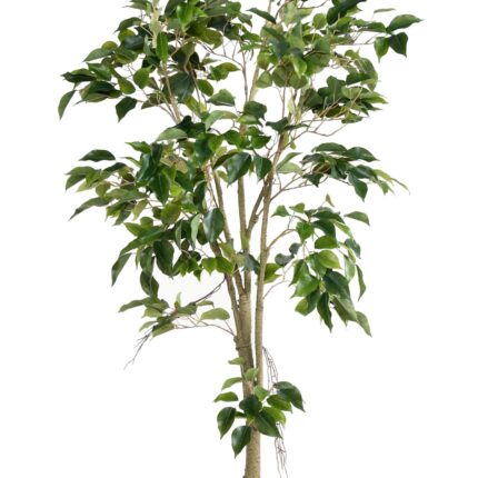 Künstlicher Ficus, ca. 150cm hoch, grün