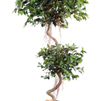 Künstlicher Ficus, ca. 185cm hoch, grün