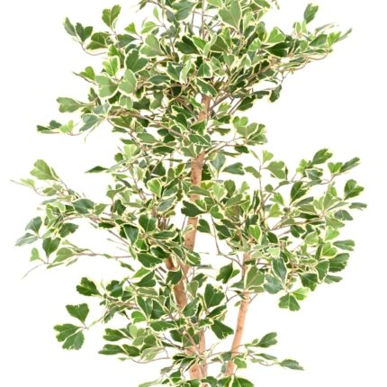 Künstlicher Ficus Triangularis, ca. 120cm hoch, grün