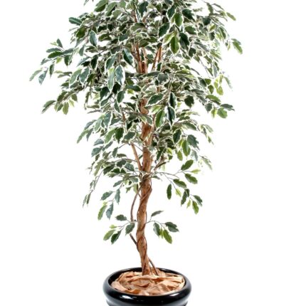 Künstlicher Ficus, ca. 150cm hoch, grün