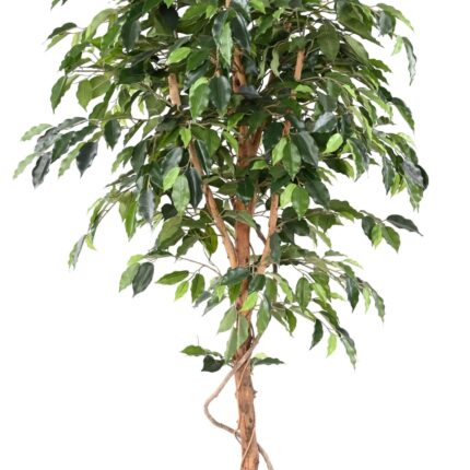 Künstlicher Ficus, ca. 180cm hoch, grün