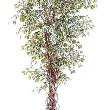 Künstlicher Ficus, ca. 150cm hoch, grün