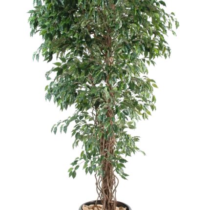 Künstlicher Ficus, ca. 210cm hoch, grün