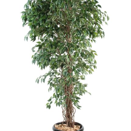 Künstlicher Ficus, ca. 150cm hoch, grün